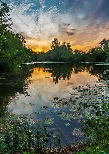 Frogmore Sunset